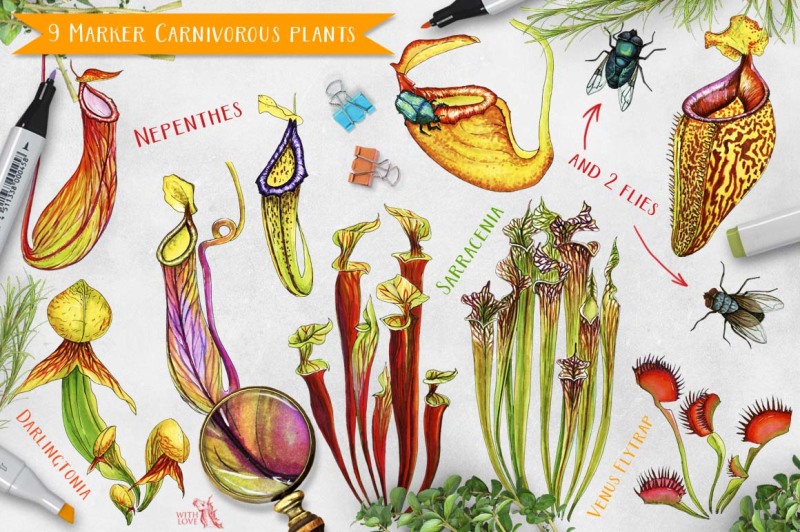 carnivorous-plants-marker-set