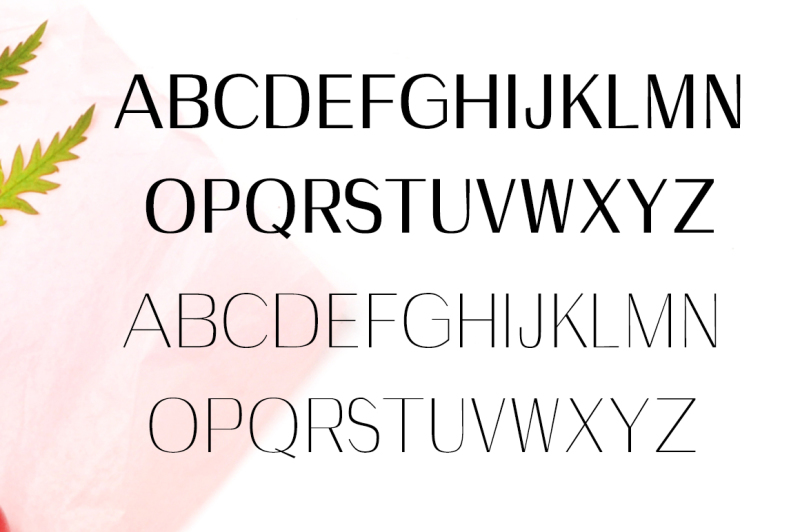 wrenn-sans-serif-6-font-family