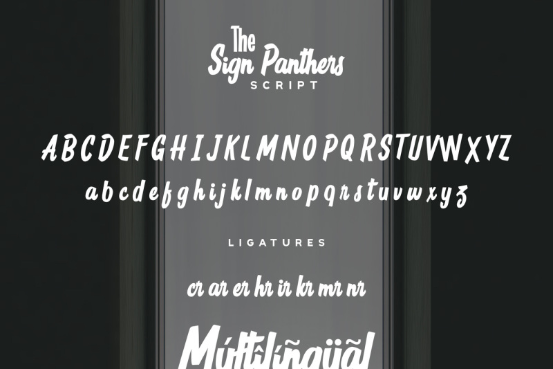 Sign Panthers Brush Script Vintage By Konstantine Studio Thehungryjpeg Com