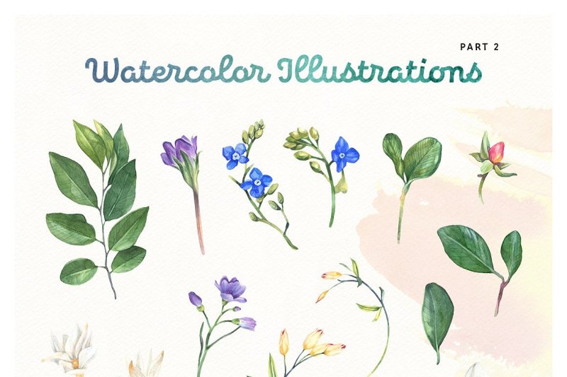 summer-bloom-watercolor-set