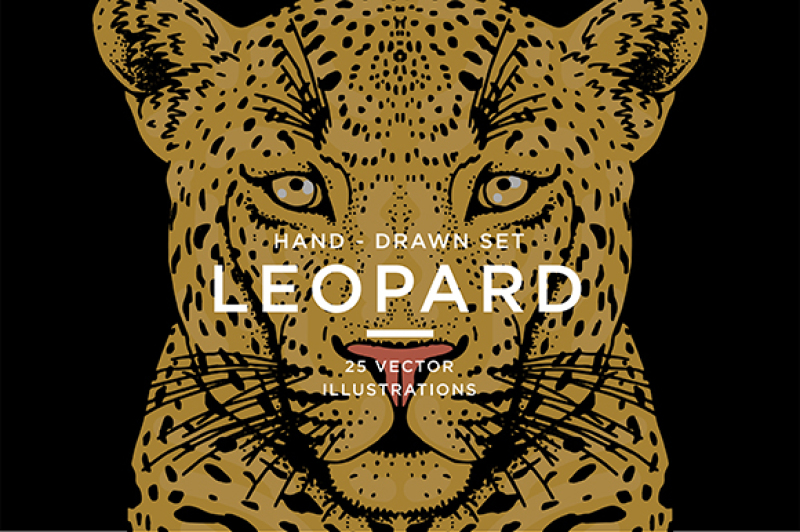 leopard-set