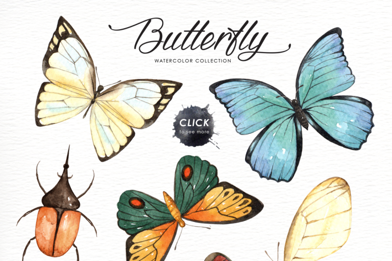 butterfly-watercolor-collection
