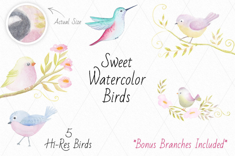 sweet-watercolor-birds