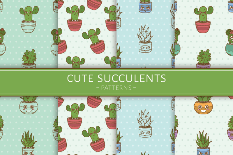 cute-succulents