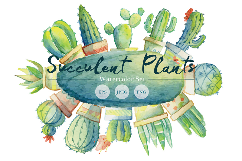 succulent-plants