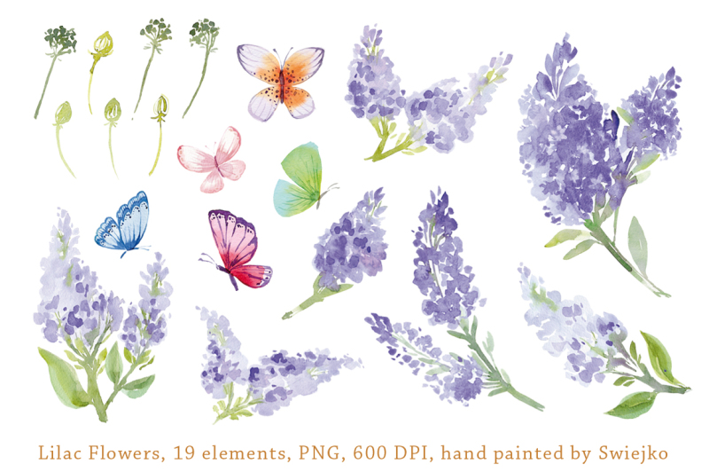 watercolor-lilac-flowers-and-butterflies