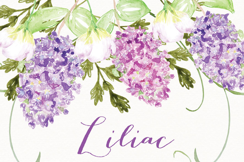 watercolor-liliac-flowers-clipart-spring-flower-clipart-purple-purple-floral-clipart-wedding-clip-art-wedding-invitation