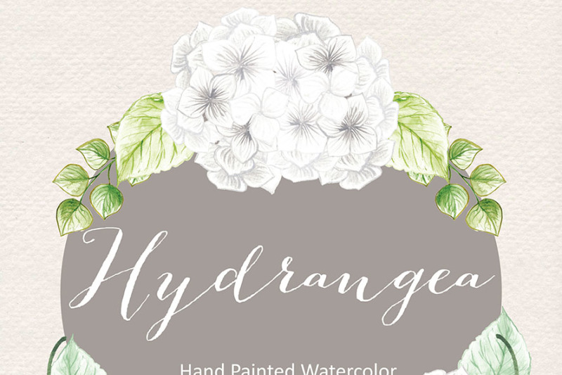 watercolor-hydrangea-flowers-clipart-watercolor-flower-white-floral-clipart-wedding-clip-art-wedding-invitation-watercolour-clipart
