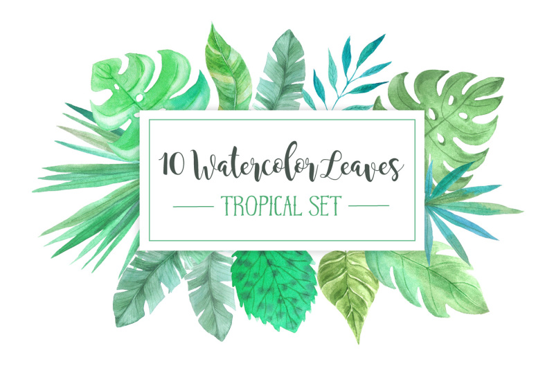 watercolor-tropic-leaves-set