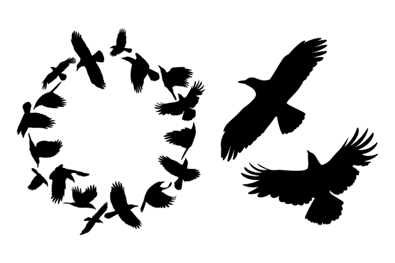 crows-in-a-circle
