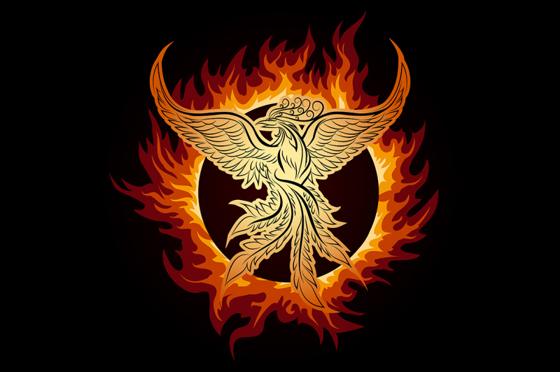 phoenix-in-flame