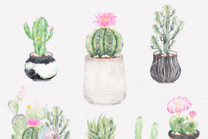 planting-cactus-watercolor-clipart