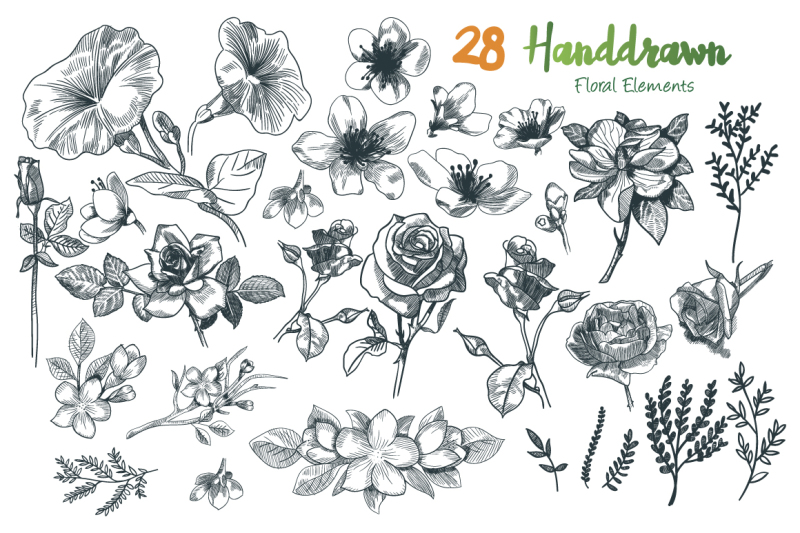 45-handdrawn-floral-collections