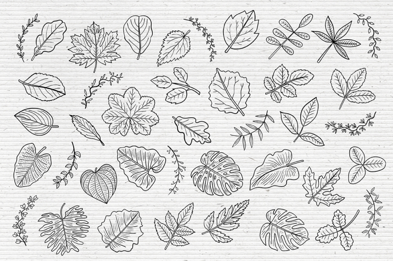 leaf-graphic-pack