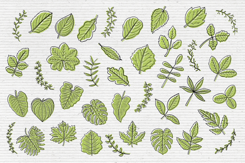 leaf-graphic-pack