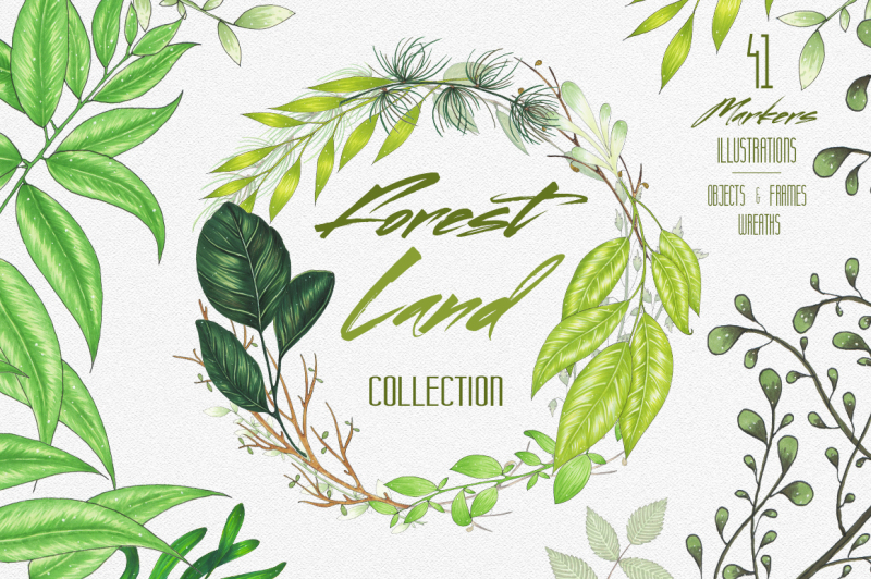 forest-land-collection-of-leaves