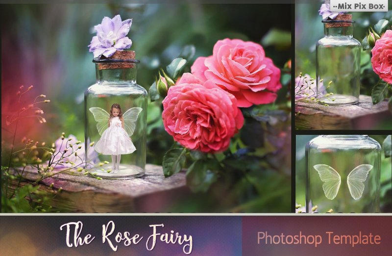 rose-fairy-backdrop