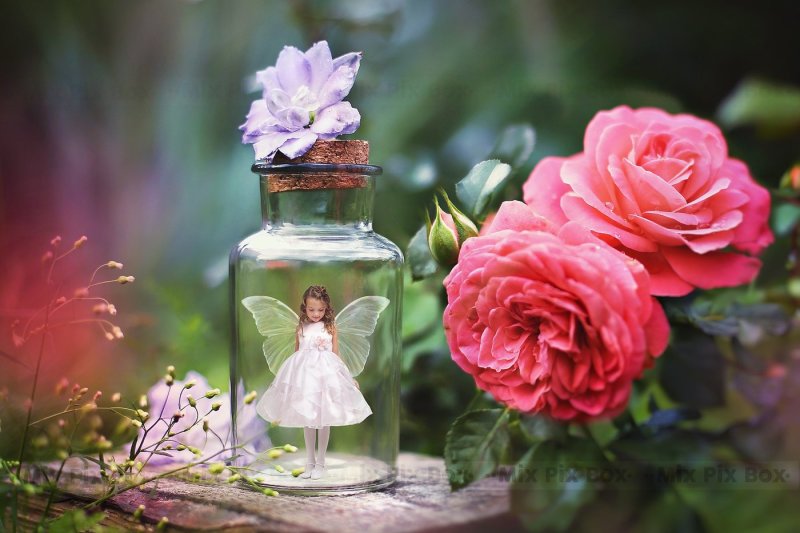 rose-fairy-backdrop