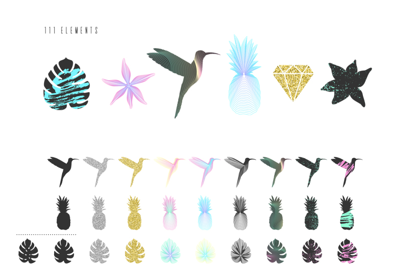 new-tropics-111-graphic-elements