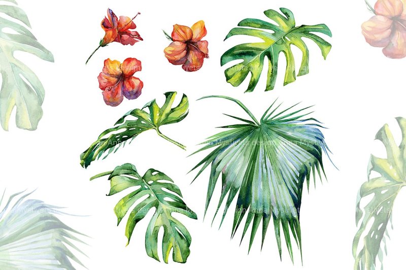 watercolor-set-of-tropical-patterns