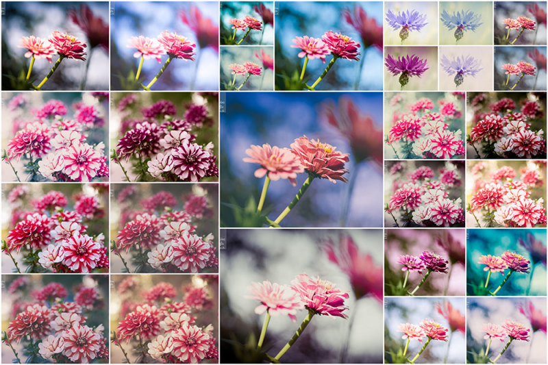 14-pretty-flower-preset-bundle