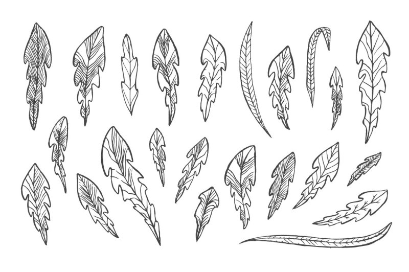 dandelions-set-patterns