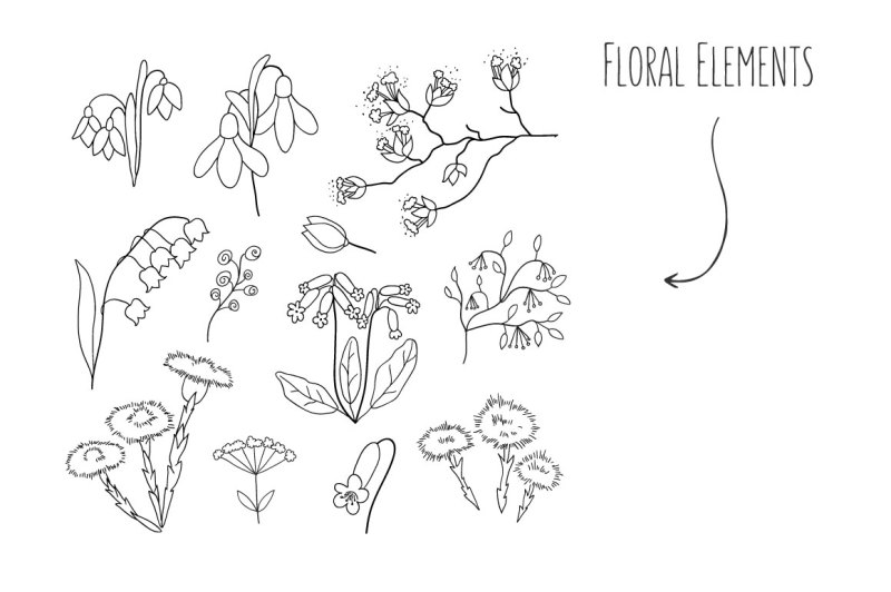 hand-drawn-floral-elements