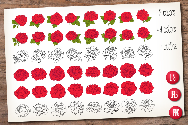 48-red-roses-set