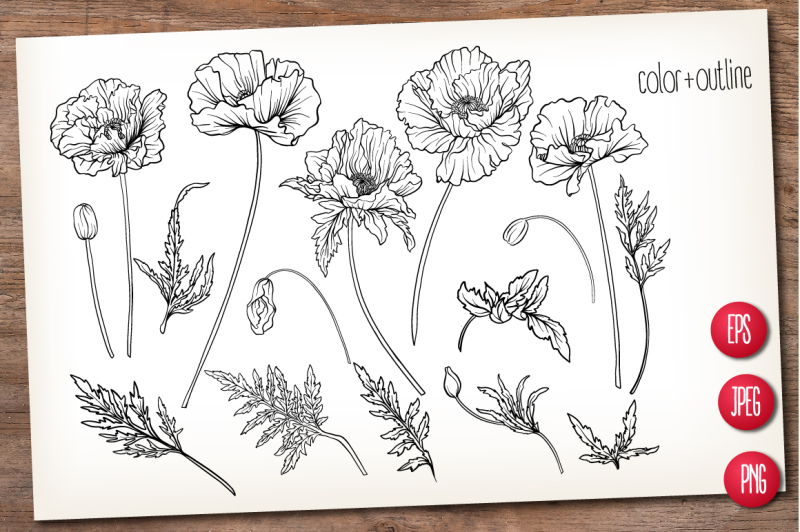 5-red-poppies-set
