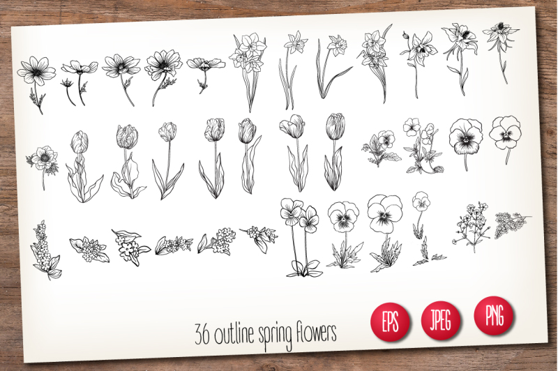 72-spring-flowers