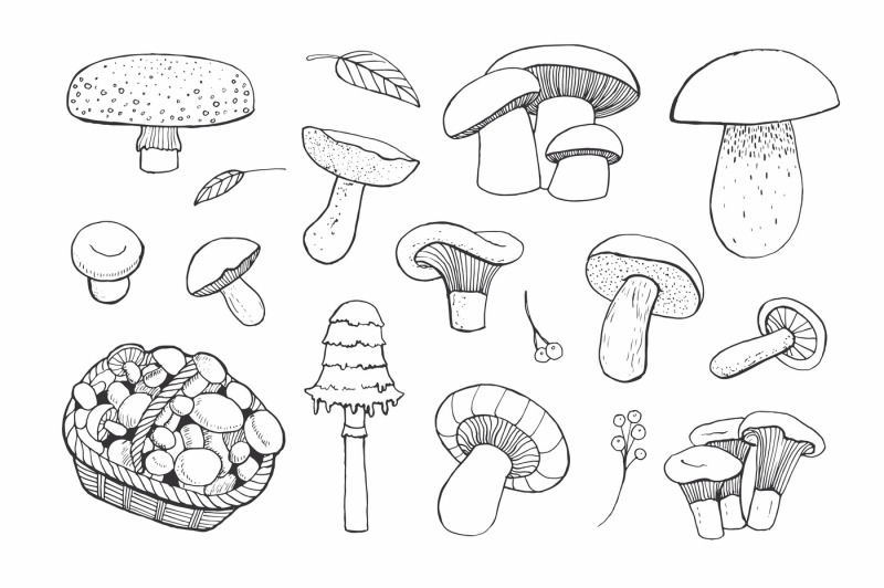 vector-mushrooms