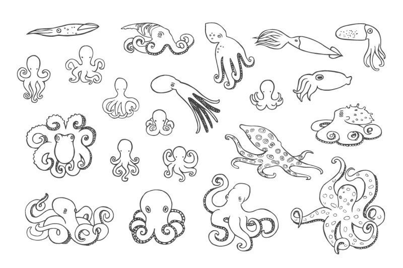 hand-drawn-octopus-set