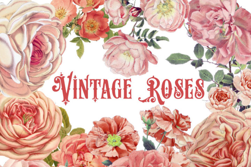 vintage-peach-roses