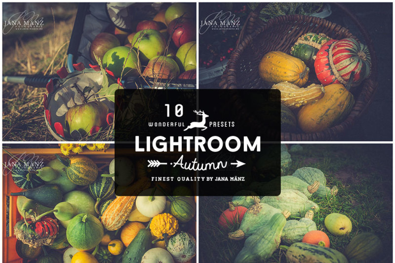 10-autumn-vintage-lightroom-presets