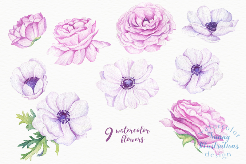 ranunculus-and-anemones-flowers