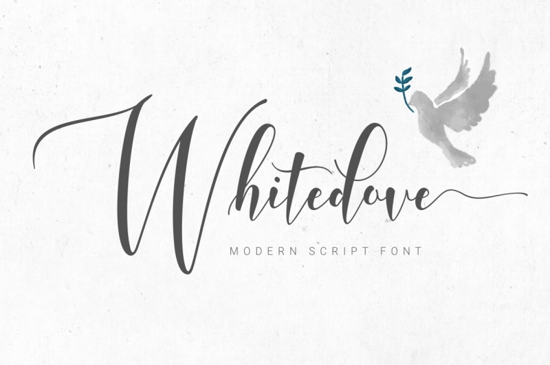 whitedove-modern-script