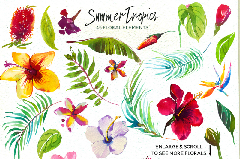 tropic-watercolor-flowers-animals-fruits
