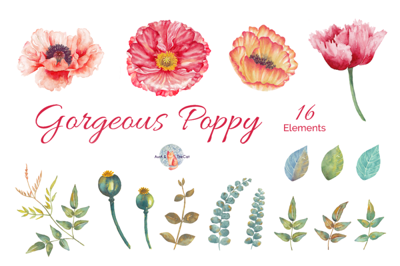 gorgeous-poppy-watercolor-clipart