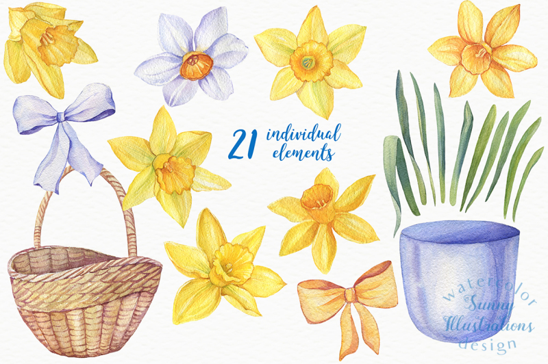 watercolor-daffodils