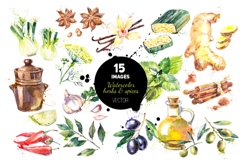 watercolor-han-drawn-herb-and-spices-vector-set