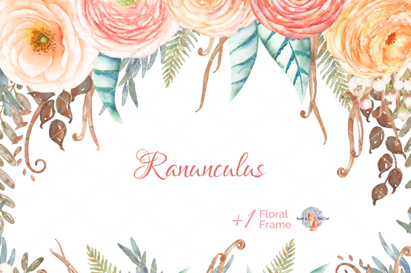 ranunculus-watercolor