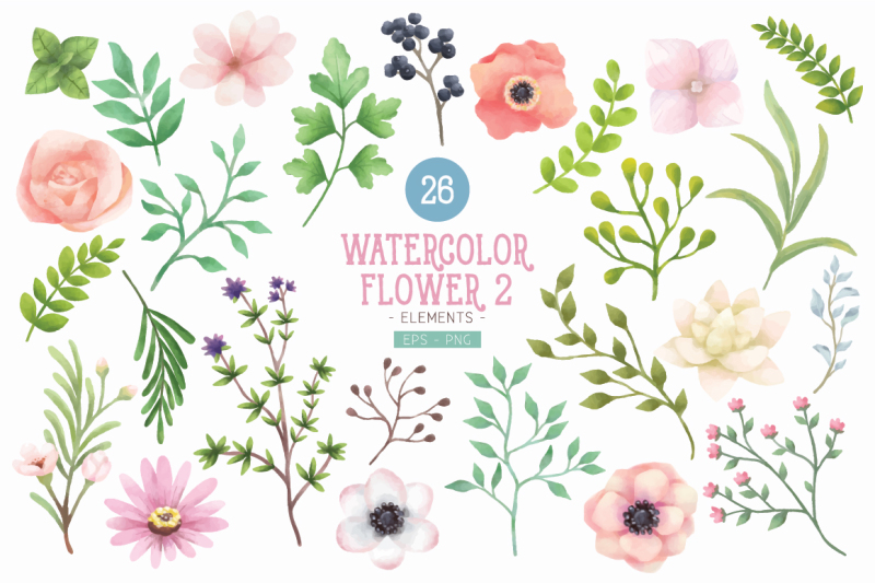 watercolor-flower-vol-2