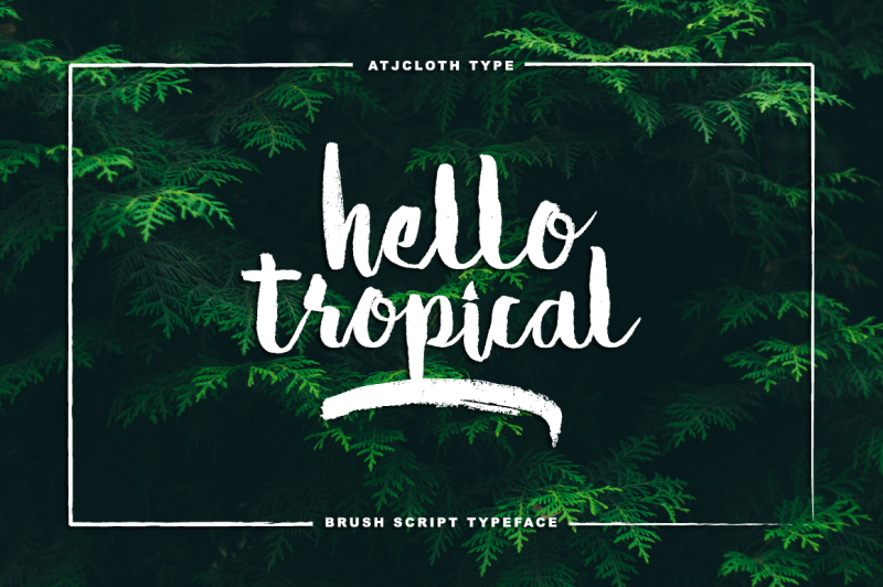 hello-tropical