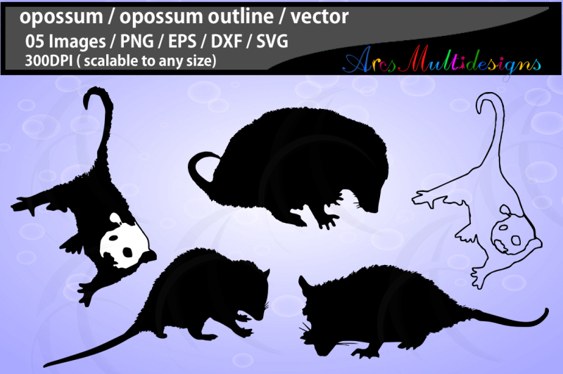 opossum-opossum-svg-file-opossum-vector