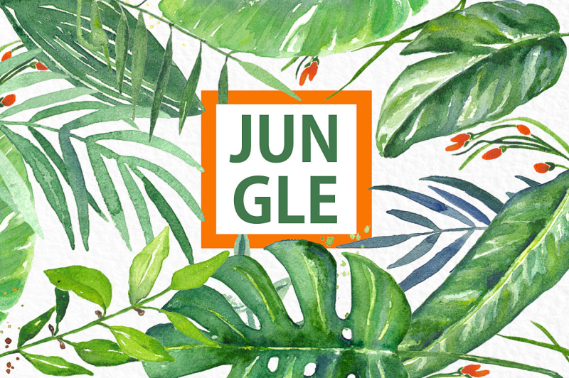 tropical-leaves-jungle-watercolor-clipart