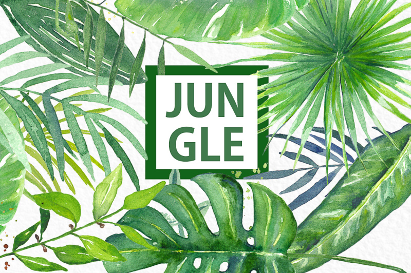 tropical-leaves-jungle-watercolor-clipart