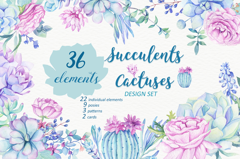 succulents-and-cactuses-design-set