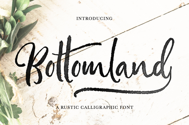 bottomland-ink-rustic-script