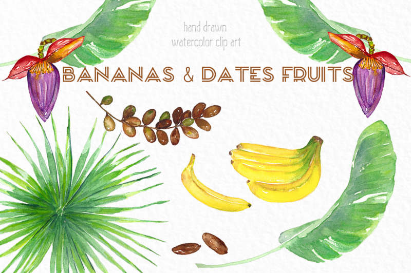 bananas-and-dates-fruits-watercolor-clipart