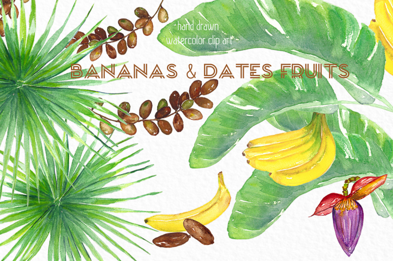 bananas-and-dates-fruits-watercolor-clipart
